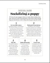 What's My Dog Thinking? Understand Your Dog to Give Them a Happy Life - мініатюра 5