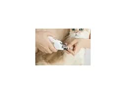 Кігтеріз для тварин Petkit LED Pet Clipper PRO (PK2302) - мініатюра 4