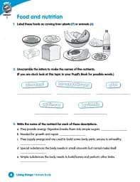 Macmillan Science. Level 5. Workbook - мініатюра 2