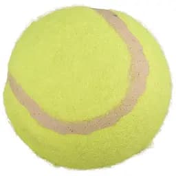 Flamingo Smash Tennis Ball фламинго смэш теннисный мяч игрушка для собак Жовтий диаметр 5 см