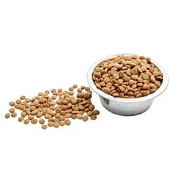 Сухий корм для кішок Wise Cat Beef 400 г (4820111141722) - мініатюра 2