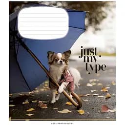 Тетрадь ученическая Pets portraits Школярик 024-3234K-4 в клетку 24 листов