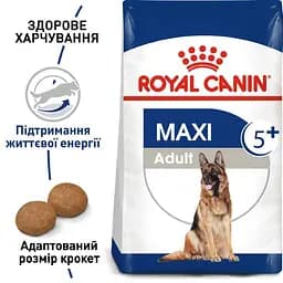 Сухий корм для собак великих порід старше 5 років Royal Canin Maxi Adult 5+, 4 кг (3008040) - мініатюра 4