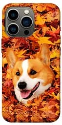 TPU чохол Корги в листі
