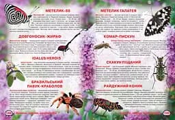 Книга Кристал Бук Ілюстрований атлас живої природи (F00014008) - мініатюра 3