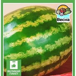 Насіння Весна Кавун Кримсон світ Великий пакет 4 г (32542)
