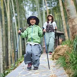Трекінгова палиця телескопічна Naturehike (CNK2550DS010) 120см - алюміній - зелена - мініатюра 10