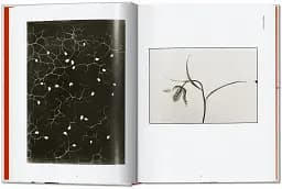 Karl Blossfeldt. The Complete Published Work. 40th Edition - мініатюра 2