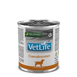Влажный корм Farmina Vet Life Convalescence для собак, диета для восстановления питания и выздоровления, 300 г