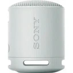 Портативна акустика Sony SRS-XB100 Grey (SRSXB100H.CE7)
