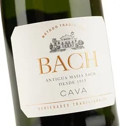 Вино ігристе Bach Cava Extrisimo Brut, біле, брют, 0,75 л - мініатюра 5