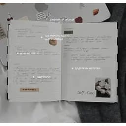 Планер (Story) Script "Authenticity" - мініатюра 14