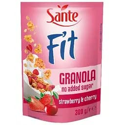 Гранола Go On Nutrition Granola Fit Cherry and Strawberry 300 г