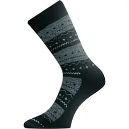 Носки Lasting TWP S Серый