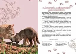 Вусохвості й лапокрилі. Читанка про тварин - мініатюра 4