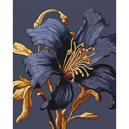 Картина за номерами "Таємнича лілія" 13151-AC з металізованими фарбами 40х50 см