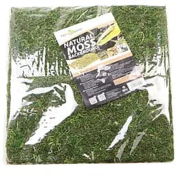 Фон з натурального моху Repti-Zoo Natural Moss Back & Bottom 30x30см 2 шт (NCM3030) для тераріуму - мініатюра 2