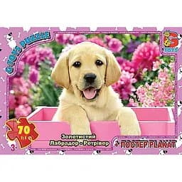 Детский пазл Домашние питомцы AN147 плакат 70 элементов