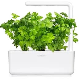 Змінний картридж Click & Grow Листова селера (3948) - мініатюра 2
