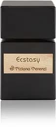 Экстракт Tiziana Terenzi Ecstasy 100 мл 