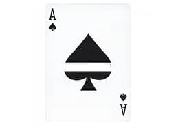 Карти гральні United States Playing Card Company Fuck You (PC_FU) - мініатюра 5