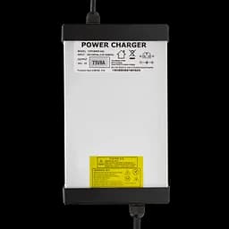Зарядний пристрій для акумуляторів LiFePO4 60V (73V)-8A-480W - мініатюра 4