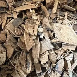 100 г черемуха кора сушеная - свежий урожай