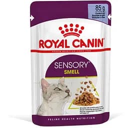 Набір вологого корму  для дорослих котів Royal Canin Sensory Smell Jellyшматочки в желе 1.02 кг (12 шт. х 85 г) - мініатюра 2