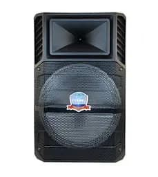 Колонка Big PK-1211 bluetooth + мікрофон (360х280х560) USB/MO3/FM/TWS Чорний - мініатюра 2