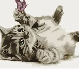 Набір для розпису по номерах Кошеня з метеликом, Strateg, 30x40 см, SS6734