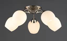 Потолочная люстра N6629/5