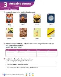 Learning Lands Level 6. Activity Book with Digital Activity Book - мініатюра 2
