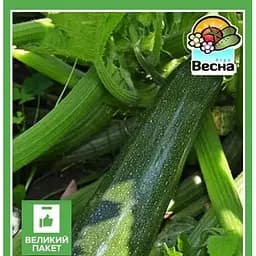 Насіння Весна Кабачок Президент Великий пакет 5 г (184232)