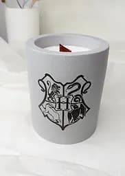 Cоєва свічка Svich Shop Harry Potter в гіпсовому кашпо ручної роботи у подарунковій коробці - мініатюра 3