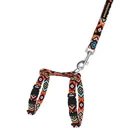 Шлея для котів та собак дрібних порід BronzeDog Urban Гуцульська з нашивкою та повідцем XS 18-27 см помаранчева