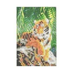 Алмазна мозаїка Тигр у своєму владарюванні Strateg YAB27430 без підрамника, не повна викладка 10 x 15 см