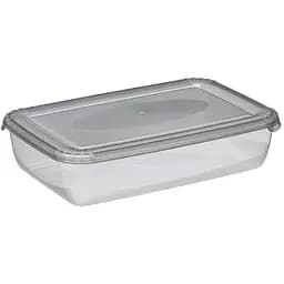 Контейнер Plast Team Polar прямокутний 206х134х50 мм 0.9 л (1671) - мініатюра 2