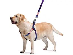 Шлея для собак WAUDOG Nylon з QR-паспортом "NASA21" M (4801-0148) - мініатюра 2