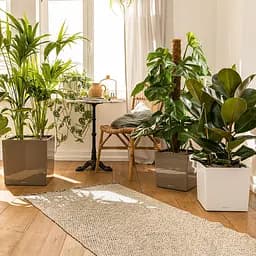 Вазон Lechuza Cube Premium, 31 л, антрацитовий (16363) - мініатюра 11