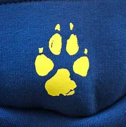 Худі для собак DIEGO hoodie утеплена «Електрик» - m - мініатюра 3