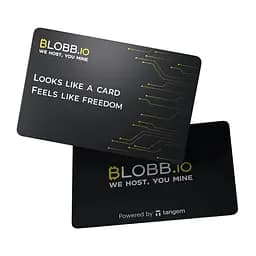 Криптогаманець Tangem Wallet 2.0 Blobb набір з 2 карток (TG-BLOB) - мініатюра 2