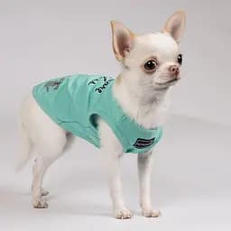 Майка-борцовка Pet Fashion Puppy для собак, розмір S, м'ятна - мініатюра 5