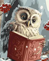 Набір для розпису по номерах Розумна совушка, 40x50 см, КНО6557