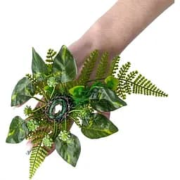 Каблучка Лісова німфа