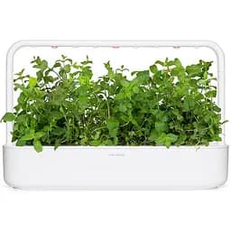 Змінний картридж Click & Grow Smart Garden М'ята, 3 капсули (7397) - мініатюра 4