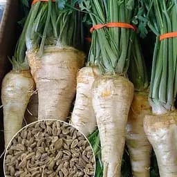Насіння Agro-Market Петрушка коренева на вагу ціна за 5 г (13349)