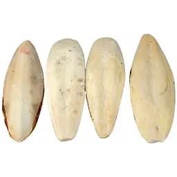 Мінеральний камінь для птахів TatraPet Fantasia з панцира каракатиці без утримувача 22-25 см