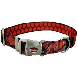 Ошейник для собак Coastal Sublime 1.9x30см (SP26621_GTP12)