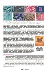 Біологія і екологія 10 клас - мініатюра 3