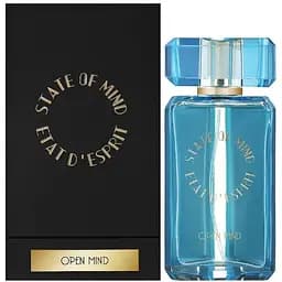 Парфюмированная вода оригинал State Of Mind Open Mind 100 мл